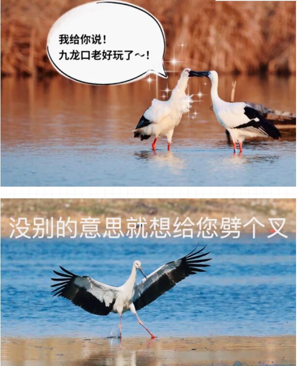 QQ截图20211123171032