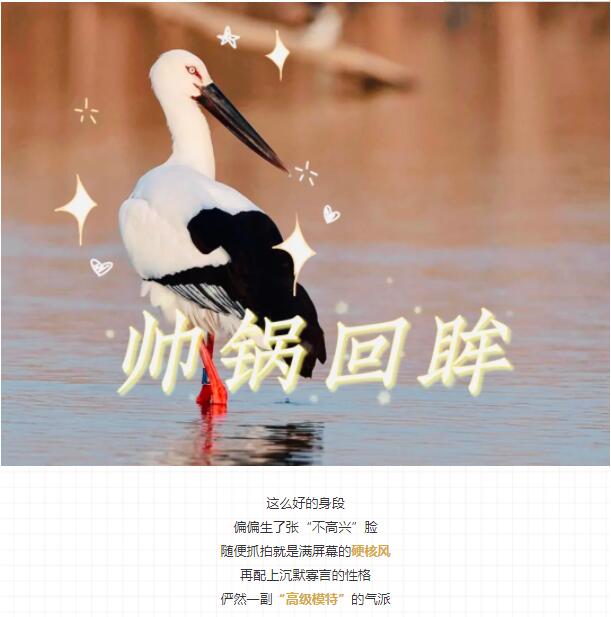 QQ截图20211123170919