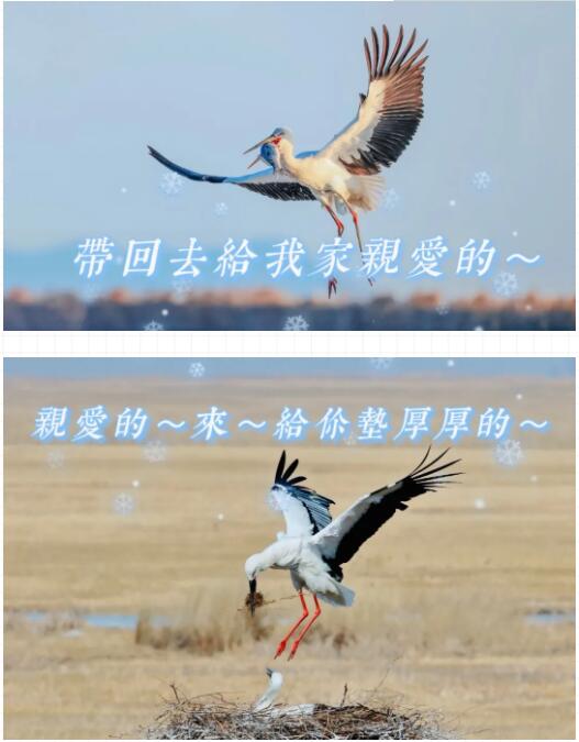QQ截图20211123170955