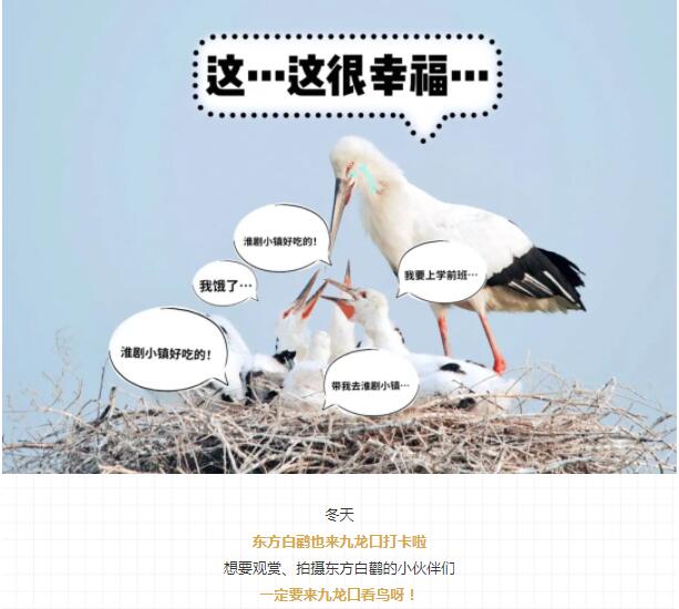 QQ截图20211123171023