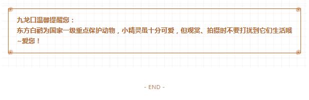 QQ截图20211123171040
