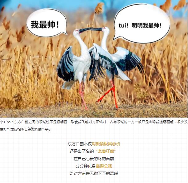 QQ截图20211123170946