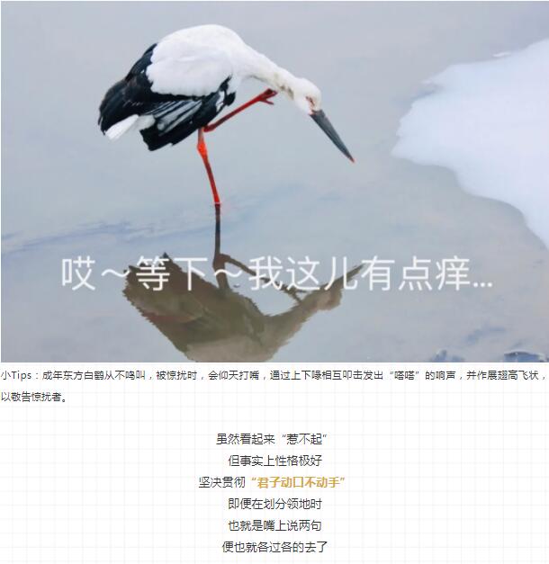 QQ截图20211123170936