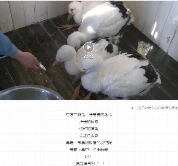 QQ截图20211123170906
