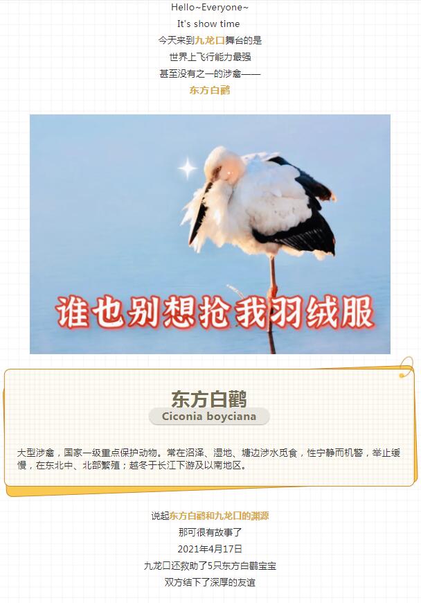 QQ截图20211123170853