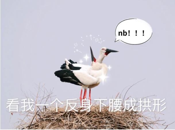 QQ截图20211123171013