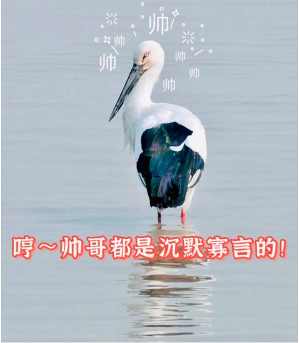QQ截图20211123170928